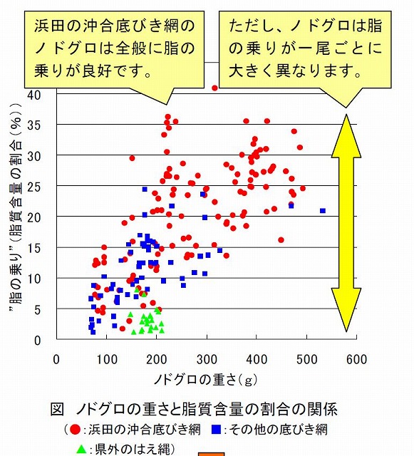 北陸発の人気魚種 のどぐろ について改めてまとめてみました ノドグロ あかむつ まとめ 魚仕入れは金沢直送 居酒屋応援隊 ブログ