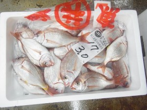 石川県の鮮魚水揚情報をタイムリーに得るためのとっておきの方法教えます 魚仕入れは金沢直送 居酒屋応援隊 ブログ