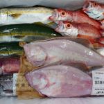きときと鮮魚セットが更にお値打ちな季節！底引き網漁解禁で一気に魚の種類が増えました～。