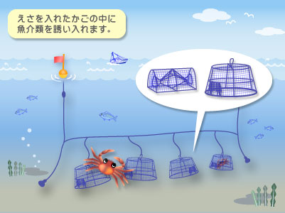 北陸での漁法についてまとめてみました ６ かご網漁法 魚仕入れは金沢直送 居酒屋応援隊 ブログ