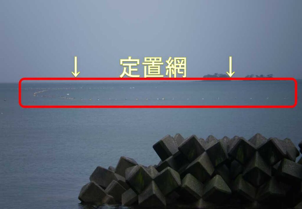 氷見定置網