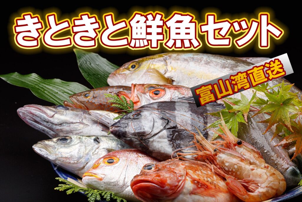 産直鮮魚きときと丸のきときと鮮魚セット