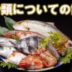 魚介類についての記事