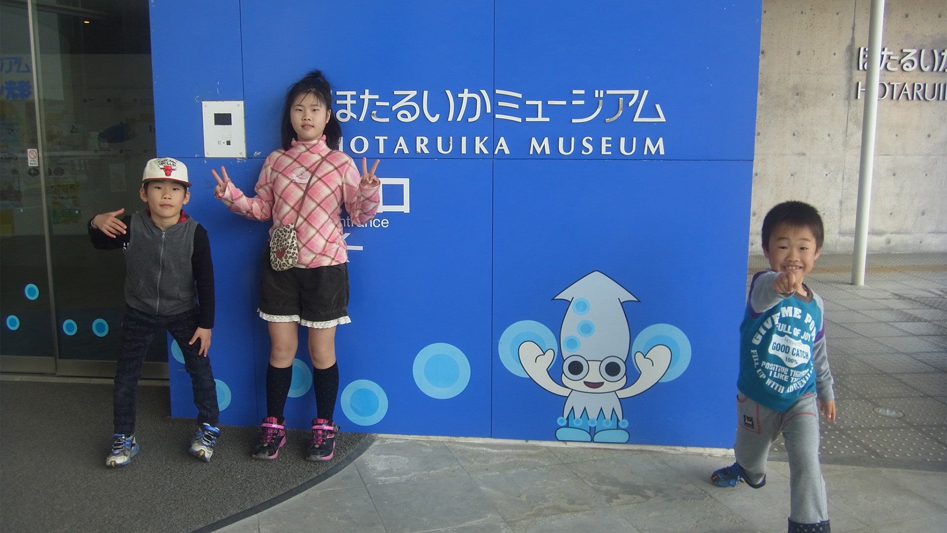 ほたるいかミュージアム入口