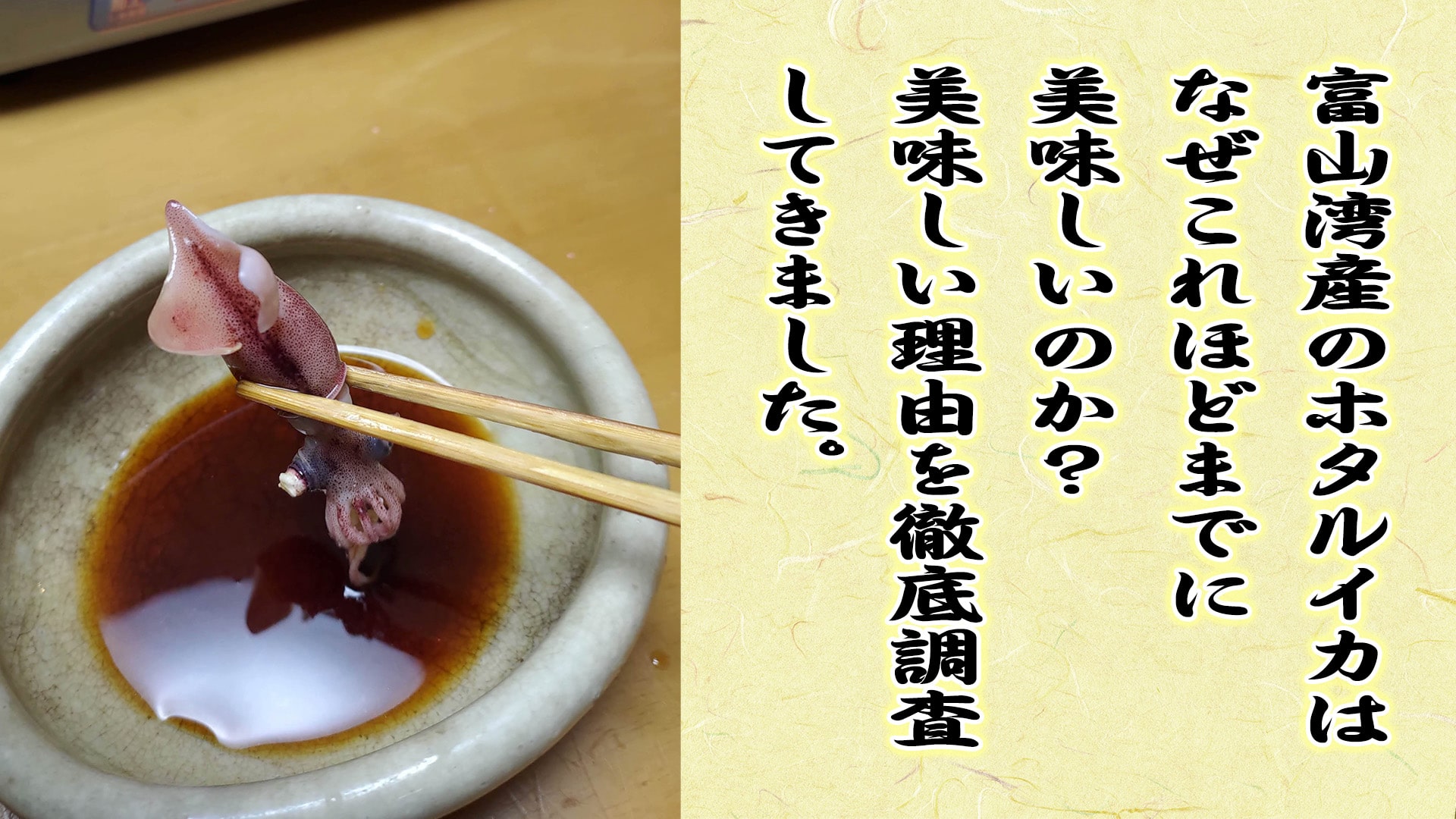 富山湾産のホタルイカはなぜこれほどまでに美味しいのか？美味しい理由を徹底調査してきました。