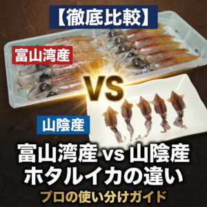 【徹底比較】富山湾産 vs 山陰産ホタルイカの違い｜プロの使い分けガイド