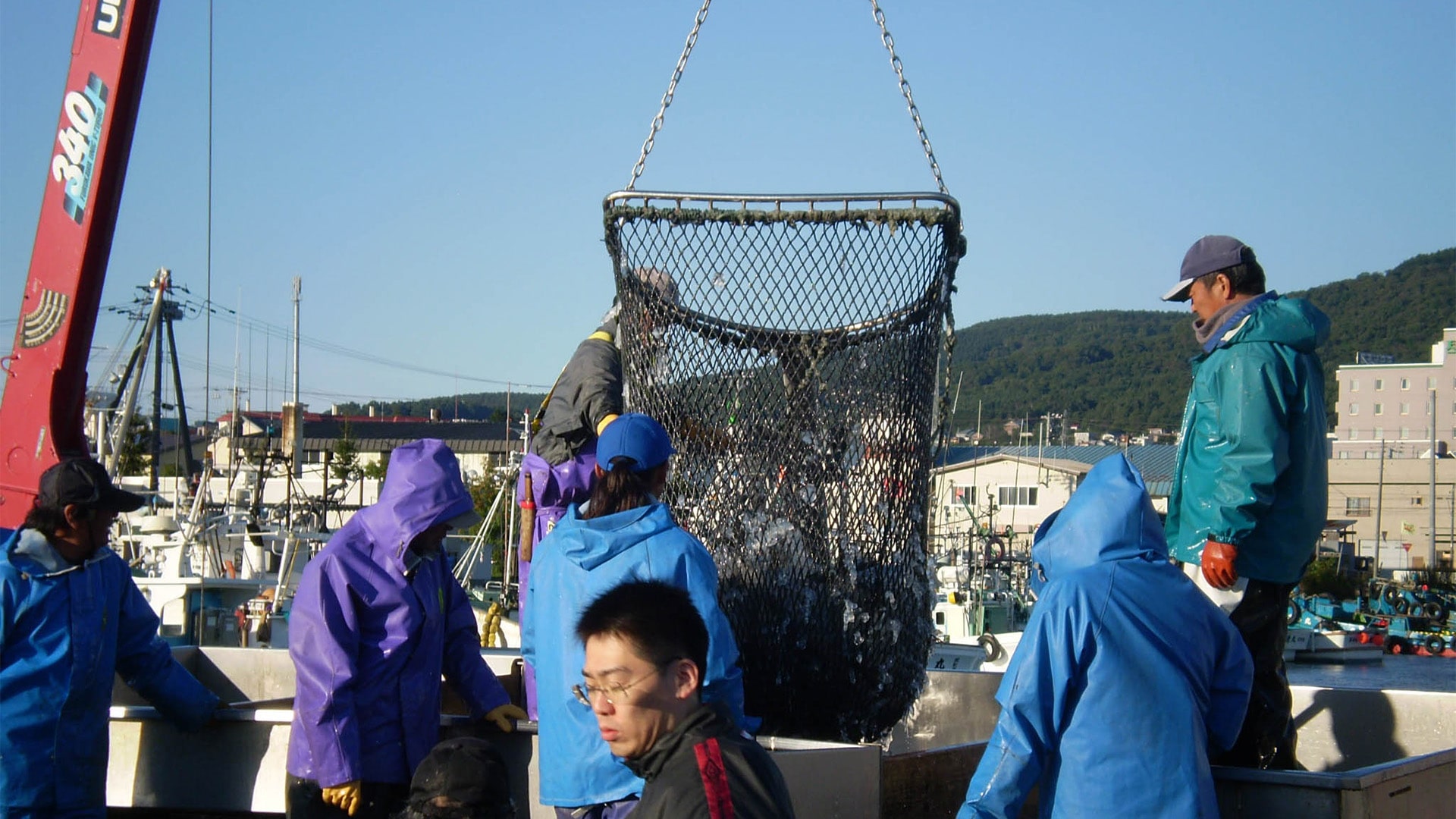 北海道の秋鮭水揚げ