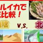 【徹底比較】比べてみて判った！富山湾のホタルイカが料理のプロから愛される理由