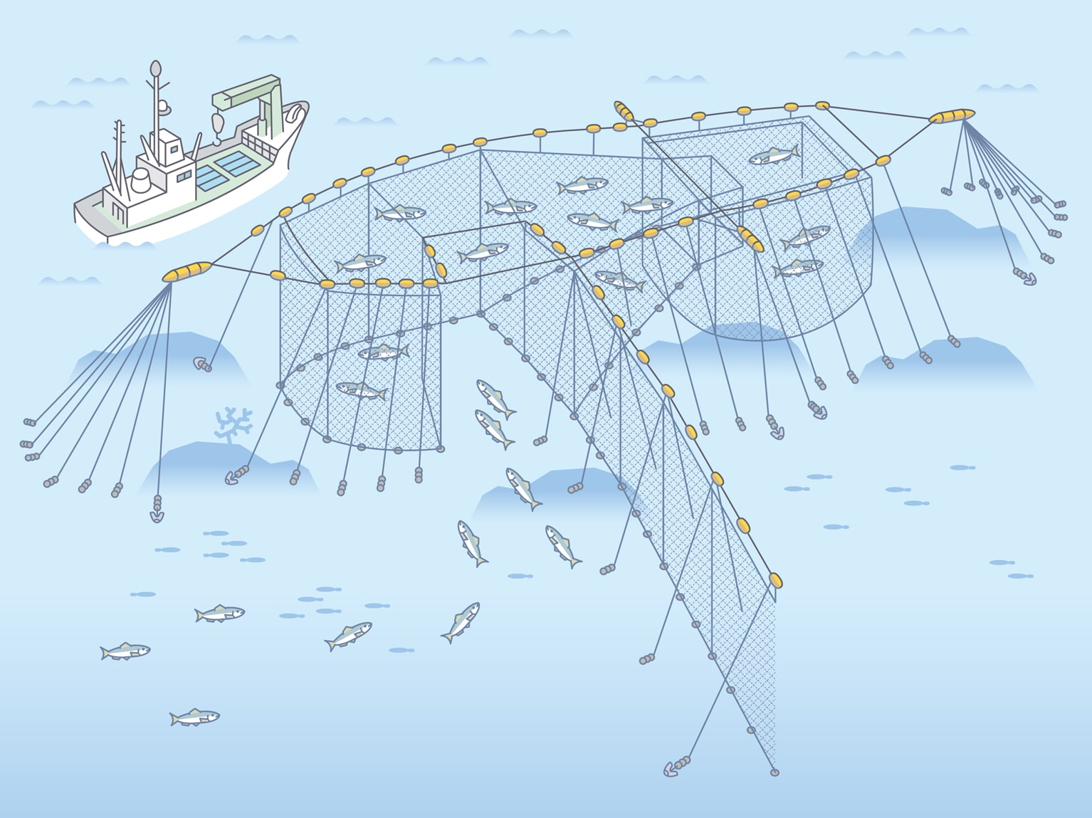 定置網漁のイメージ
