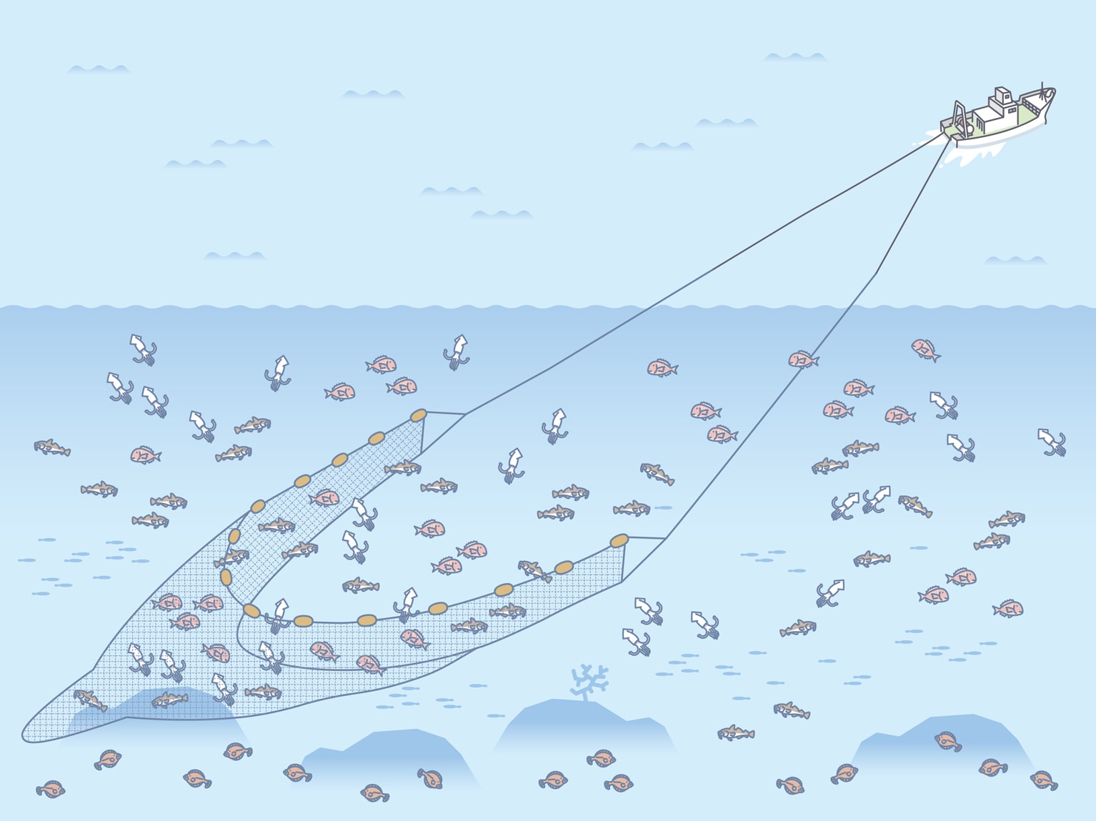 底引き網漁のイメージ