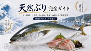 天然ぶり完全ガイド｜旬・産地・目利き・食べ方・養殖との違いまで徹底解説【飲食店向け仕入れ情報付き】