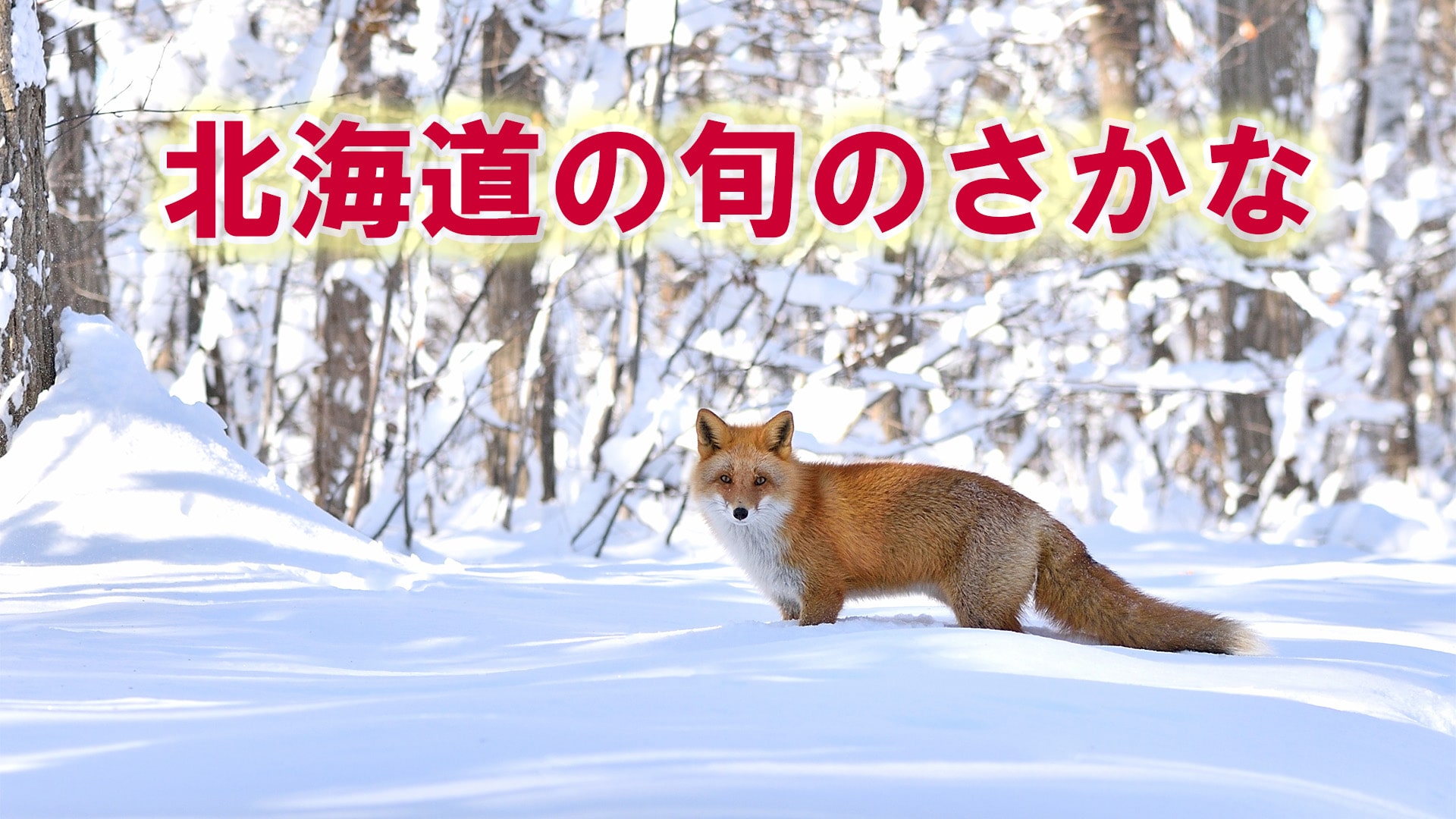 北海道の旬の魚