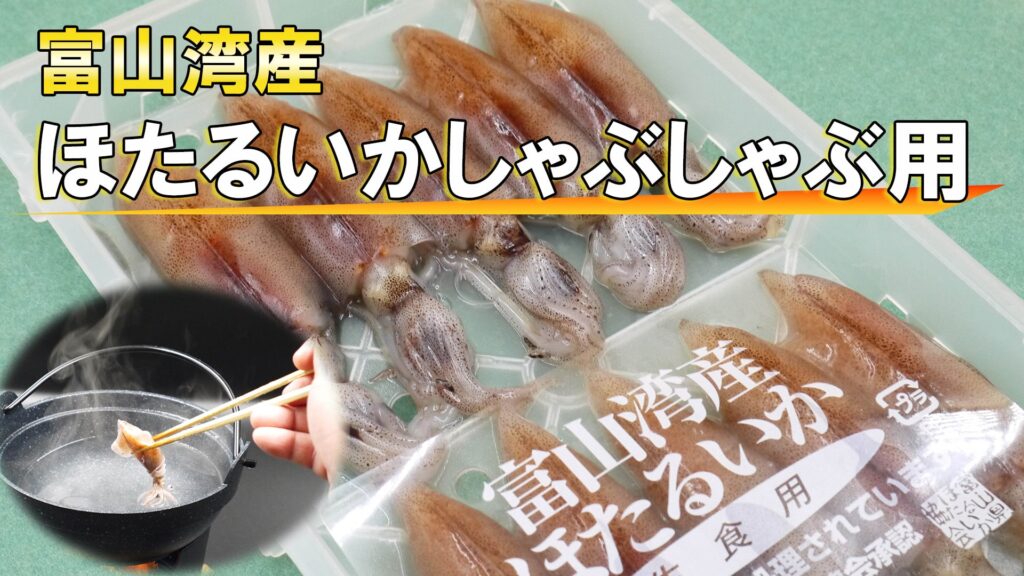 富山湾産ホタルイカしゃぶしゃぶ