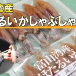 富山湾産ホタルイカしゃぶしゃぶ