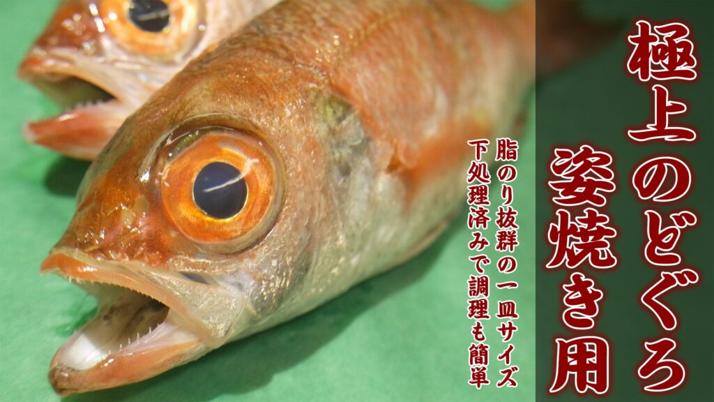 極上のどぐろ姿焼き用-