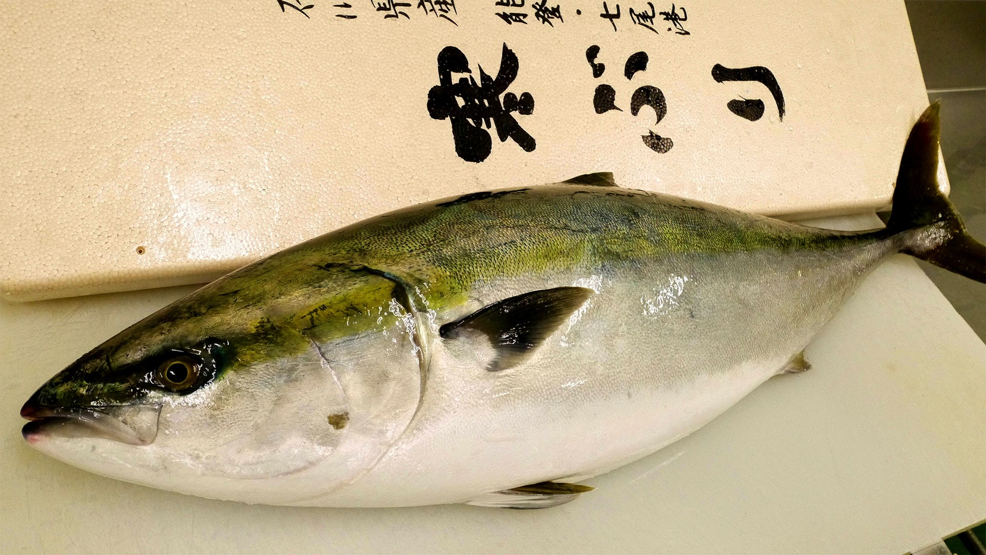 天然ぶり