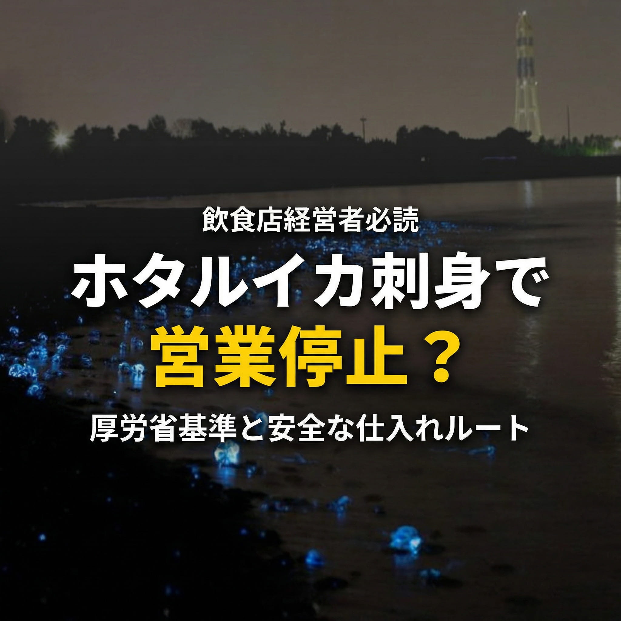 ほたるいか刺身で営業停止？サムネイル