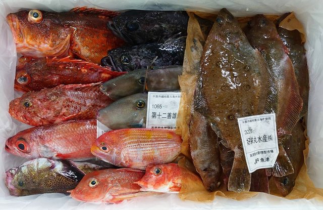 きときと鮮魚セット