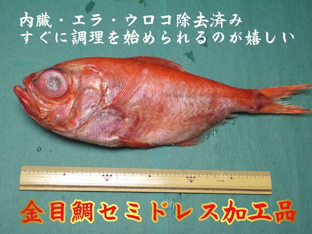 金目鯛セミドレス加工